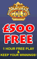 Online Casino
